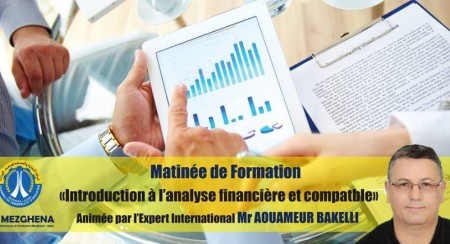 Matinée de Formation : Introduction à l'analyse financière et comptable