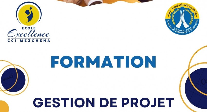 Formation en Gestion de Projet &ndash; Ma&icirc;triser la Performance, les Co&ucirc;ts et les D&eacute;lais