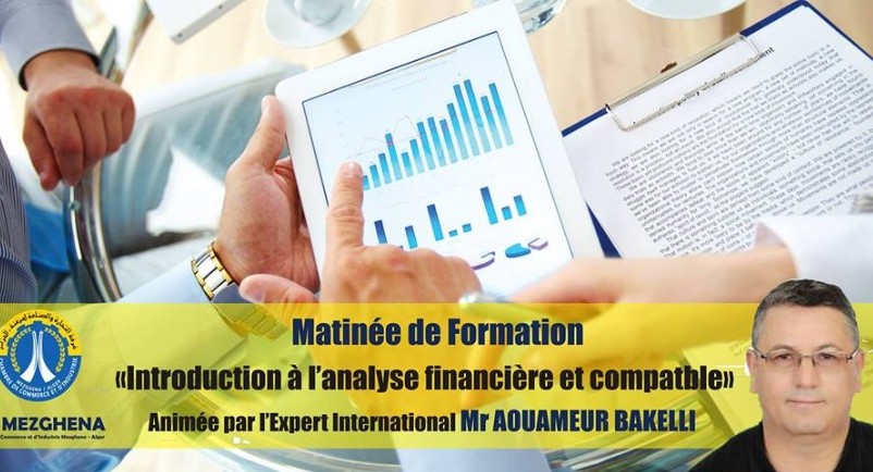 Matin&eacute;e de Formation : Introduction &agrave; l'analyse financi&egrave;re et comptable