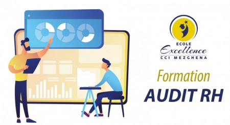 Formation Audit de la fonction Ressources Humaines